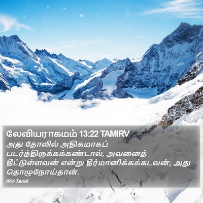 லேவியராகமம் 13:22 TAMIRV Bible Verse Image