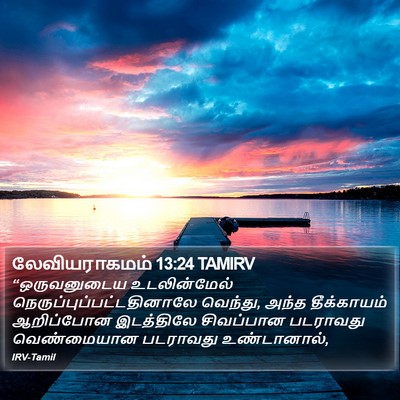 லேவியராகமம் 13:24 TAMIRV Bible Verse Image