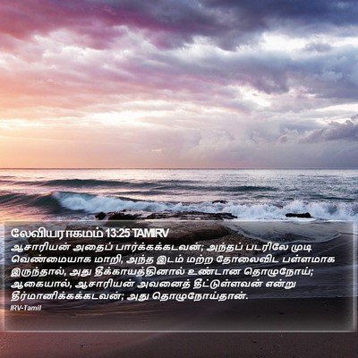 லேவியராகமம் 13:25 TAMIRV Bible Verse Image