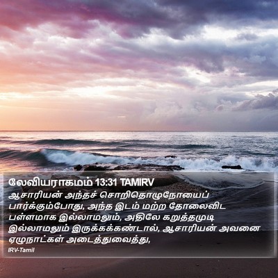லேவியராகமம் 13:31 TAMIRV Bible Verse Image