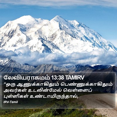 லேவியராகமம் 13:38 TAMIRV Bible Verse Image
