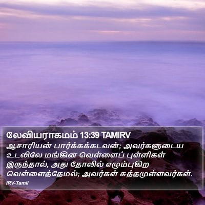 லேவியராகமம் 13:39 TAMIRV Bible Verse Image