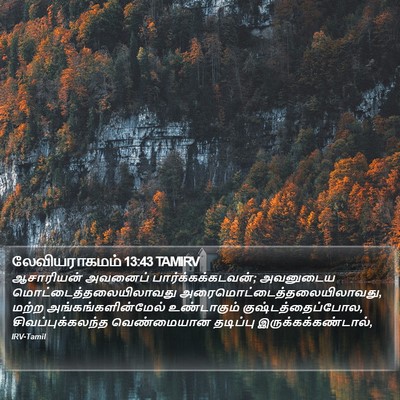 லேவியராகமம் 13:43 TAMIRV Bible Verse Image