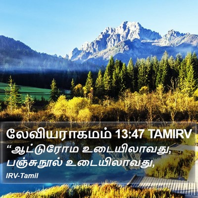 லேவியராகமம் 13:47 TAMIRV Bible Verse Image