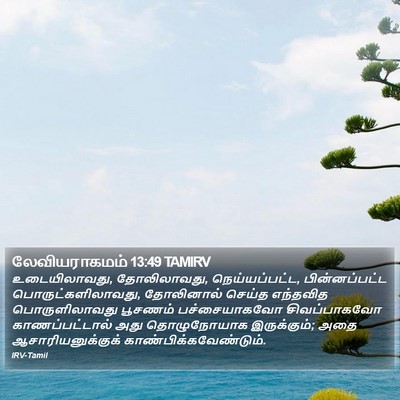 லேவியராகமம் 13:49 TAMIRV Bible Verse Image