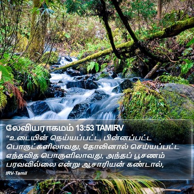 லேவியராகமம் 13:53 TAMIRV Bible Verse Image