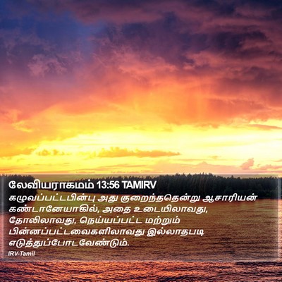 லேவியராகமம் 13:56 TAMIRV Bible Verse Image