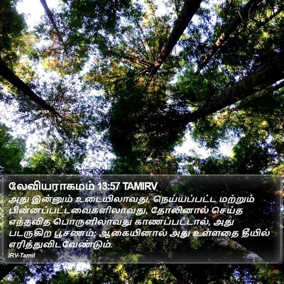 லேவியராகமம் 13:57 TAMIRV Bible Verse Image
