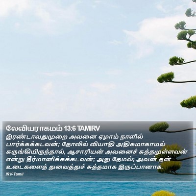 லேவியராகமம் 13:6 TAMIRV Bible Verse Image