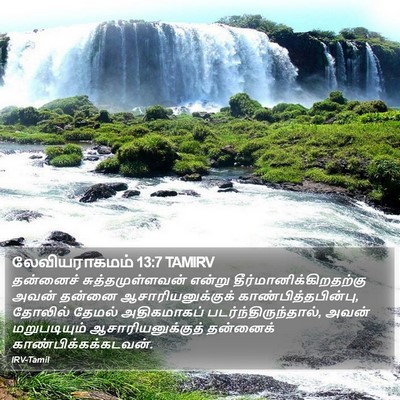 லேவியராகமம் 13:7 TAMIRV Bible Verse Image