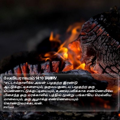 லேவியராகமம் 14:10 TAMIRV Bible Verse Image