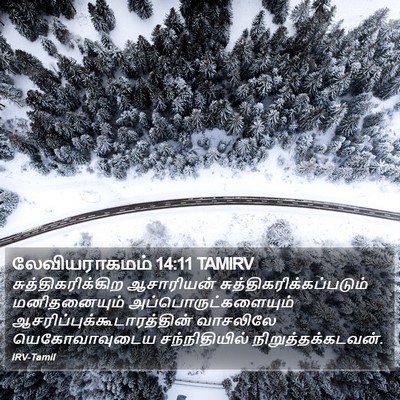 லேவியராகமம் 14:11 TAMIRV Bible Verse Image