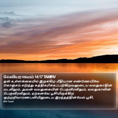லேவியராகமம் 14:17 TAMIRV Bible Verse Image