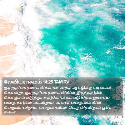லேவியராகமம் 14:25 TAMIRV Bible Verse Image