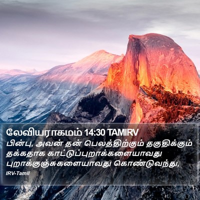 லேவியராகமம் 14:30 TAMIRV Bible Verse Image