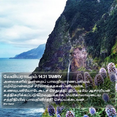 லேவியராகமம் 14:31 TAMIRV Bible Verse Image