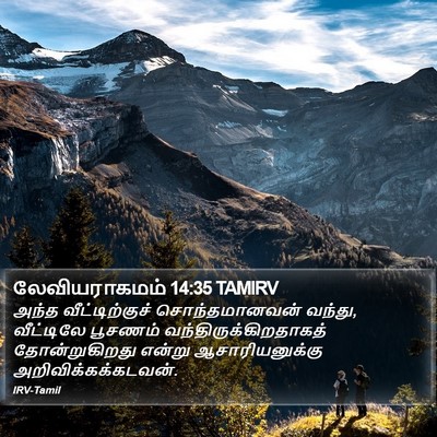 லேவியராகமம் 14:35 TAMIRV Bible Verse Image