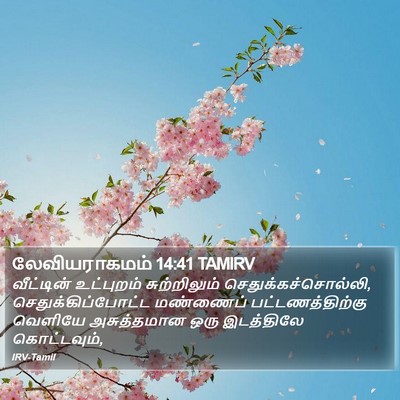 லேவியராகமம் 14:41 TAMIRV Bible Verse Image