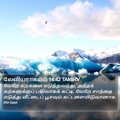 லேவியராகமம் 14:42 TAMIRV Bible Verse Image