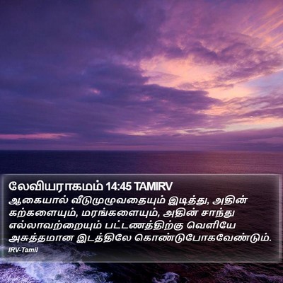 லேவியராகமம் 14:45 TAMIRV Bible Verse Image