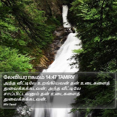 லேவியராகமம் 14:47 TAMIRV Bible Verse Image