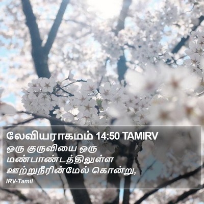 லேவியராகமம் 14:50 TAMIRV Bible Verse Image