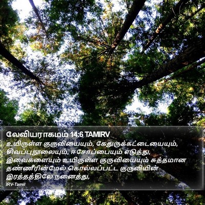 லேவியராகமம் 14:6 TAMIRV Bible Verse Image