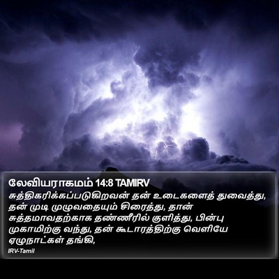 லேவியராகமம் 14:8 TAMIRV Bible Verse Image