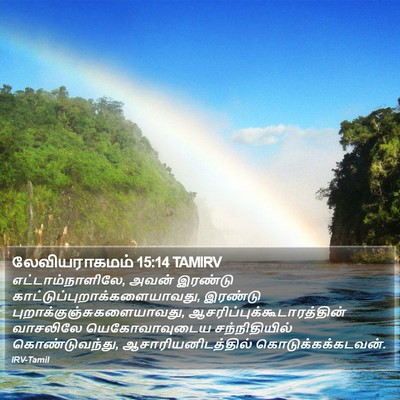 லேவியராகமம் 15:14 TAMIRV Bible Verse Image