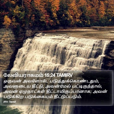 லேவியராகமம் 15:24 TAMIRV Bible Verse Image