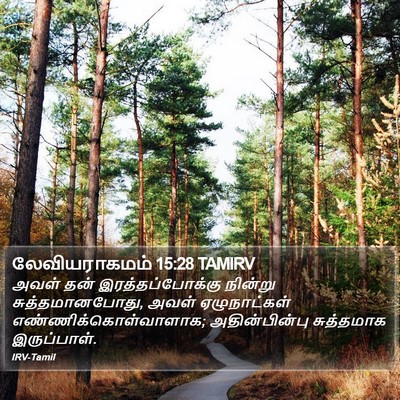 லேவியராகமம் 15:28 TAMIRV Bible Verse Image