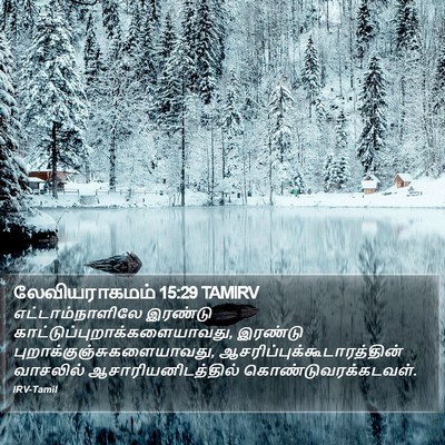 லேவியராகமம் 15:29 TAMIRV Bible Verse Image