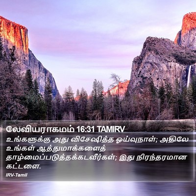 லேவியராகமம் 16:31 TAMIRV Bible Verse Image