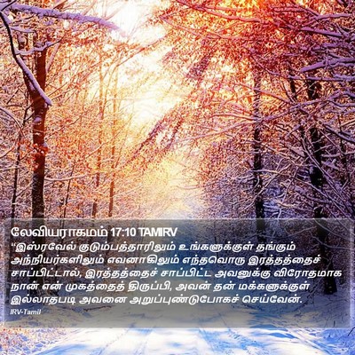 லேவியராகமம் 17:10 TAMIRV Bible Verse Image