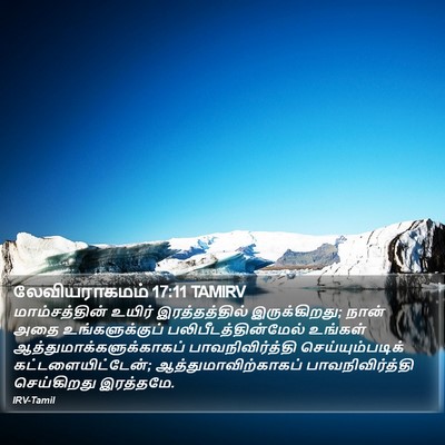 லேவியராகமம் 17:11 TAMIRV Bible Verse Image