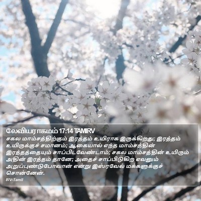 லேவியராகமம் 17:14 TAMIRV Bible Verse Image