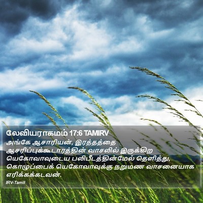 லேவியராகமம் 17:6 TAMIRV Bible Verse Image
