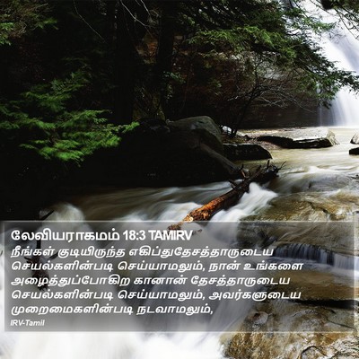 லேவியராகமம் 18:3 TAMIRV Bible Verse Image