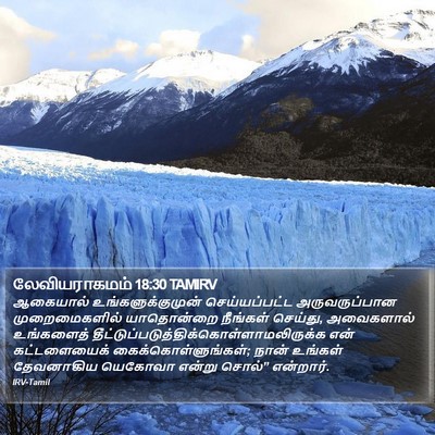 லேவியராகமம் 18:30 TAMIRV Bible Verse Image