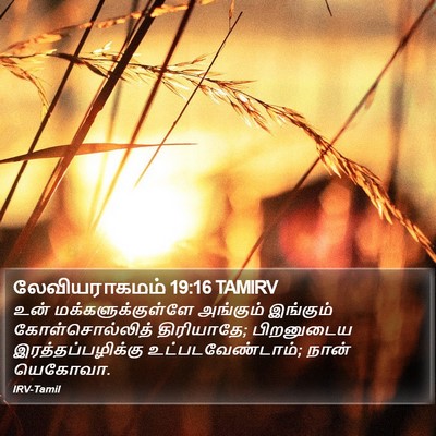 லேவியராகமம் 19:16 TAMIRV Bible Verse Image