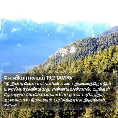 லேவியராகமம் 19:2 TAMIRV Bible Verse Image
