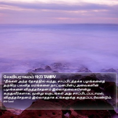 லேவியராகமம் 19:23 TAMIRV Bible Verse Image