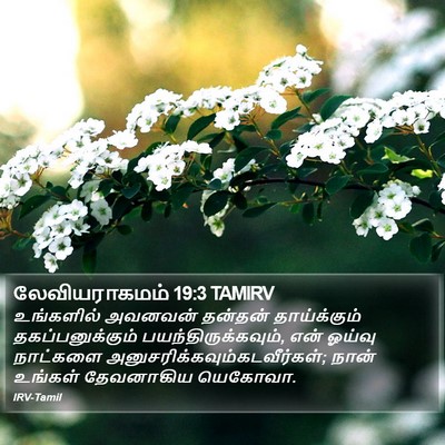 லேவியராகமம் 19:3 TAMIRV Bible Verse Image