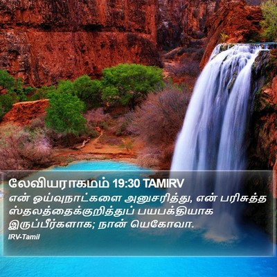 லேவியராகமம் 19:30 TAMIRV Bible Verse Image