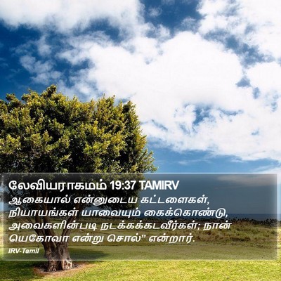 லேவியராகமம் 19:37 TAMIRV Bible Verse Image