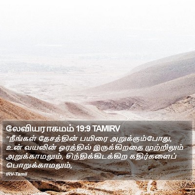 லேவியராகமம் 19:9 TAMIRV Bible Verse Image