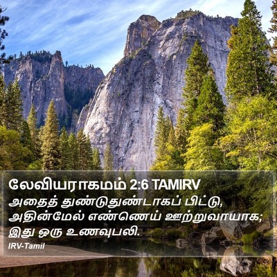 லேவியராகமம் 2:6 TAMIRV Bible Verse Image