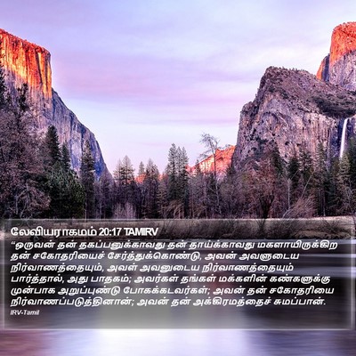 லேவியராகமம் 20:17 TAMIRV Bible Verse Image