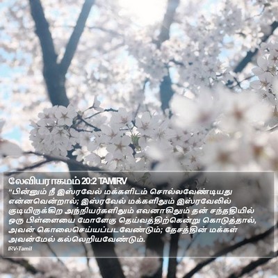 லேவியராகமம் 20:2 TAMIRV Bible Verse Image
