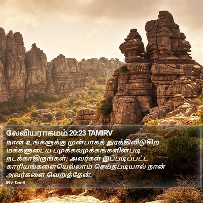 லேவியராகமம் 20:23 TAMIRV Bible Verse Image